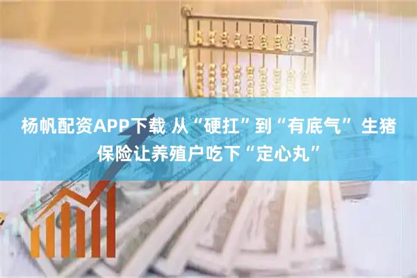 杨帆配资APP下载 从“硬扛”到“有底气” 生猪保险让养殖户吃下“定心丸”