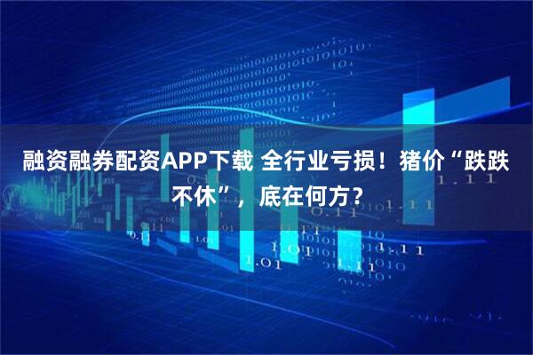 融资融券配资APP下载 全行业亏损！猪价“跌跌不休”，底在何方？