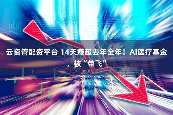 云资管配资平台 14天赚超去年全年！AI医疗基金，被“带飞”