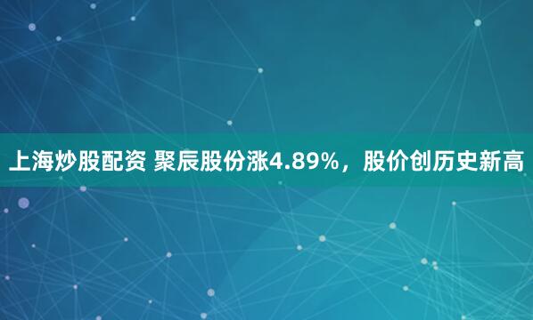 上海炒股配资 聚辰股份涨4.89%，股价创历史新高